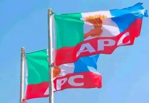 BREAKING: PDP, NNPP Reps Dump Parties, Join APC in Major Political Shift