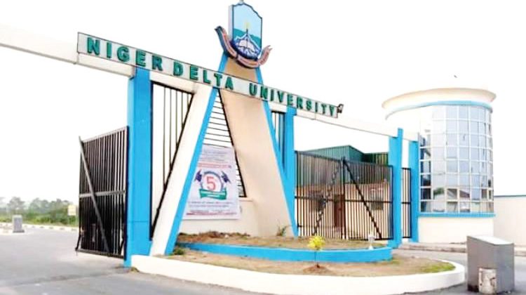 Police Arrest 17 Over Killing of Two Bayelsa Varsity Graduates